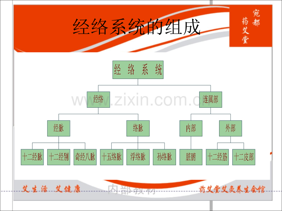 主要穴位讲解.pptx_第1页