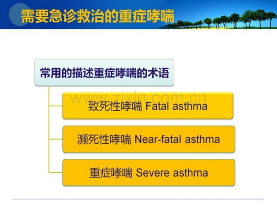 重症哮喘的急诊抢救及监护要点.pptx_第2页