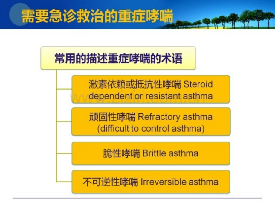 重症哮喘的急诊抢救及监护要点.pptx_第3页