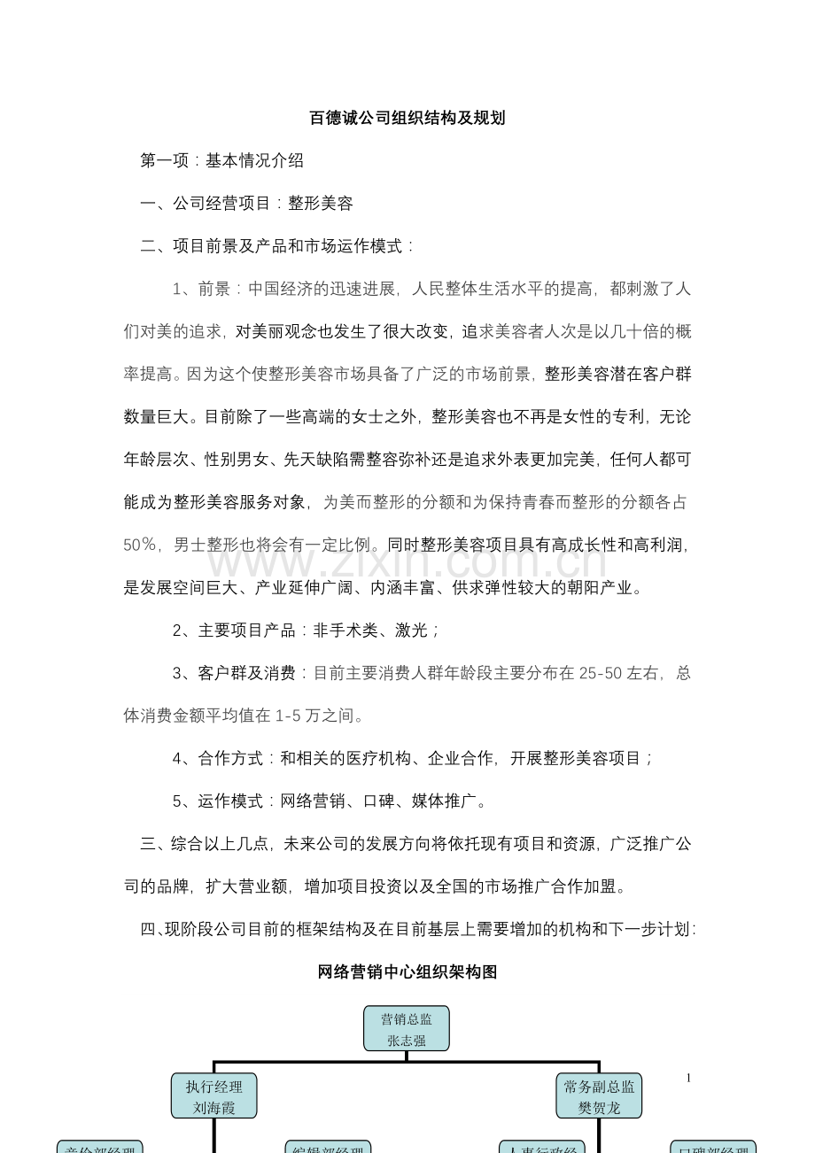 公司的组织架构方案.doc_第1页