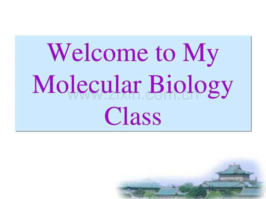 分子生物学英文.pptx_第1页
