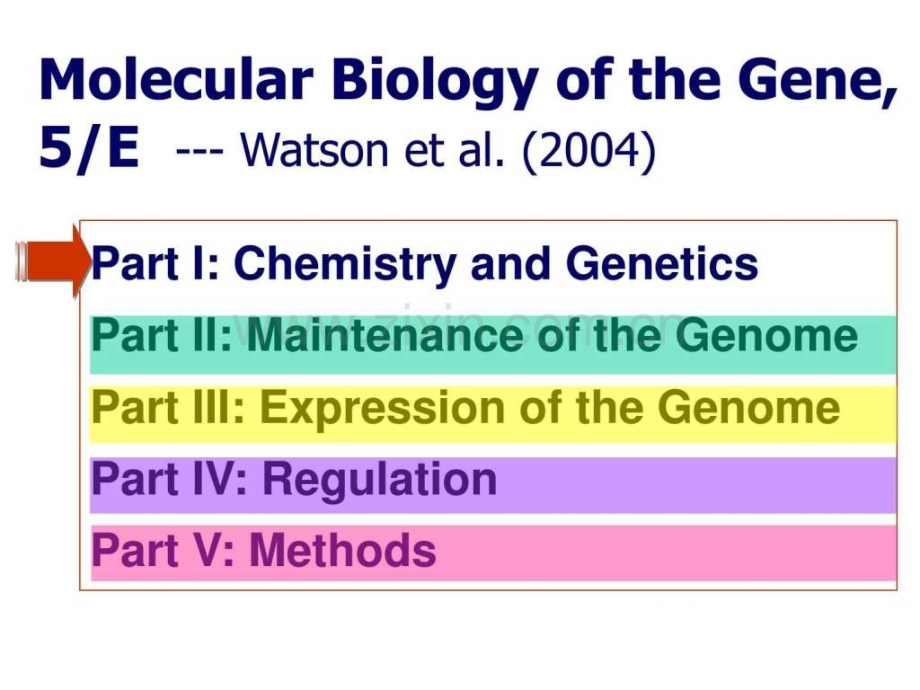 分子生物学英文.pptx_第2页