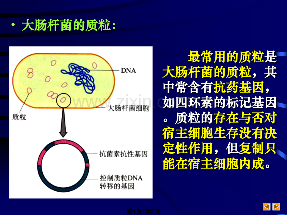 重组技基本工具.pptx_第1页