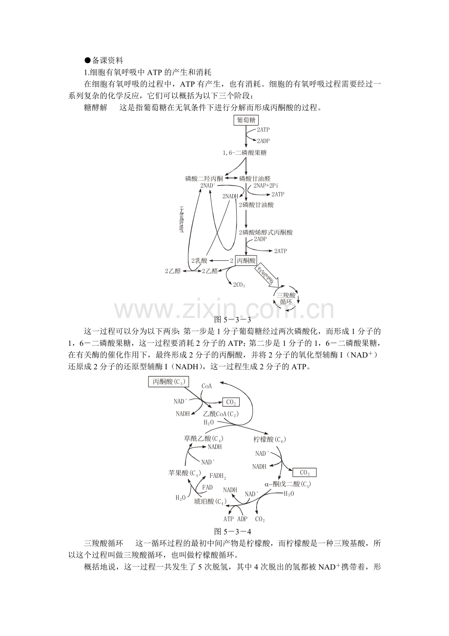 福建省人教版高中生物必修1备课资料53-TP的主要来源——细胞呼吸.doc_第1页