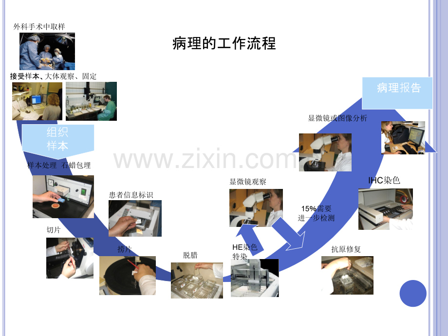 01病理工作流程.pptx_第2页