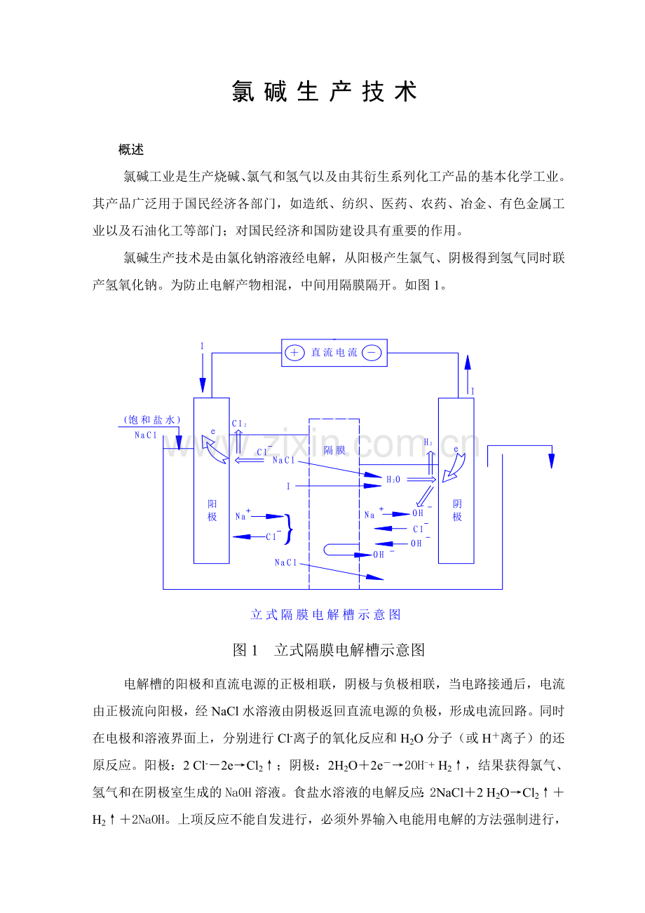 氯碱生产技术.doc_第1页