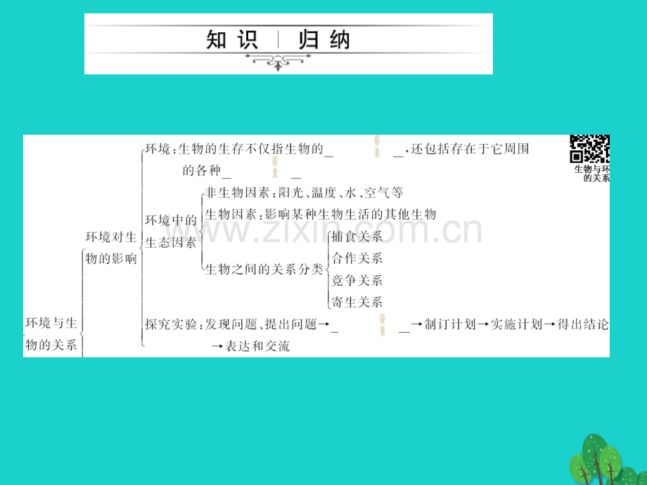 中考生物第一轮系统复习篇---了解生物圈.pptx_第2页