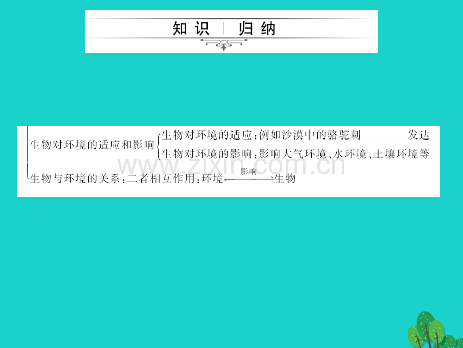 中考生物第一轮系统复习篇---了解生物圈.pptx_第3页