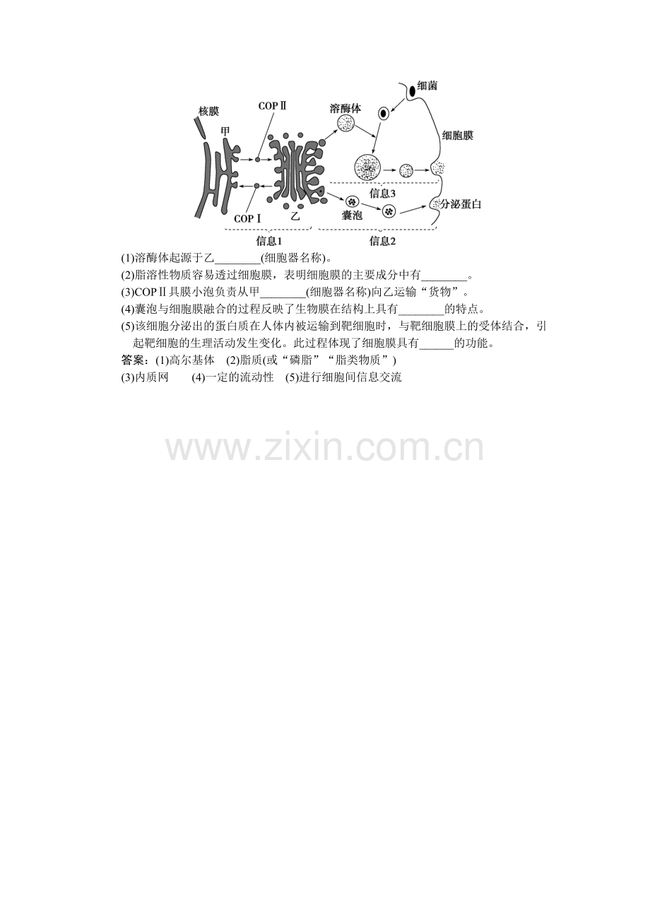 湖南省永州市高一下期期末质量检测试卷生物无答案.doc_第3页