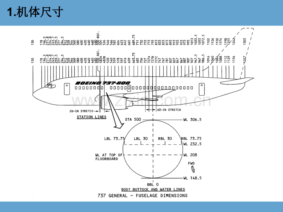 01飞机的站位及区域解析.pptx_第3页