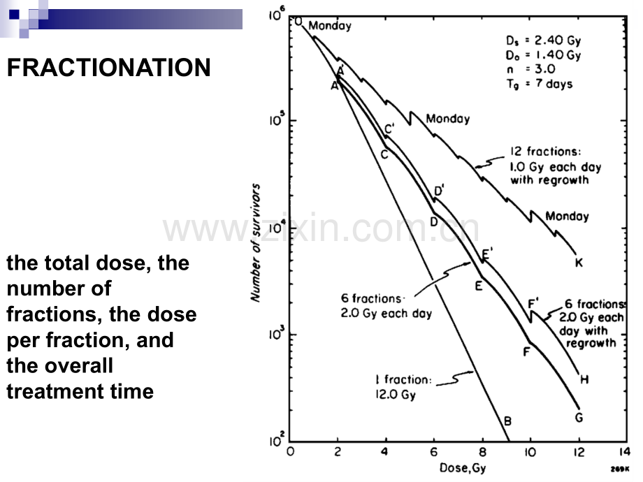 ThePhysicsofRadiologychapter62放射物理英文版.pptx_第2页