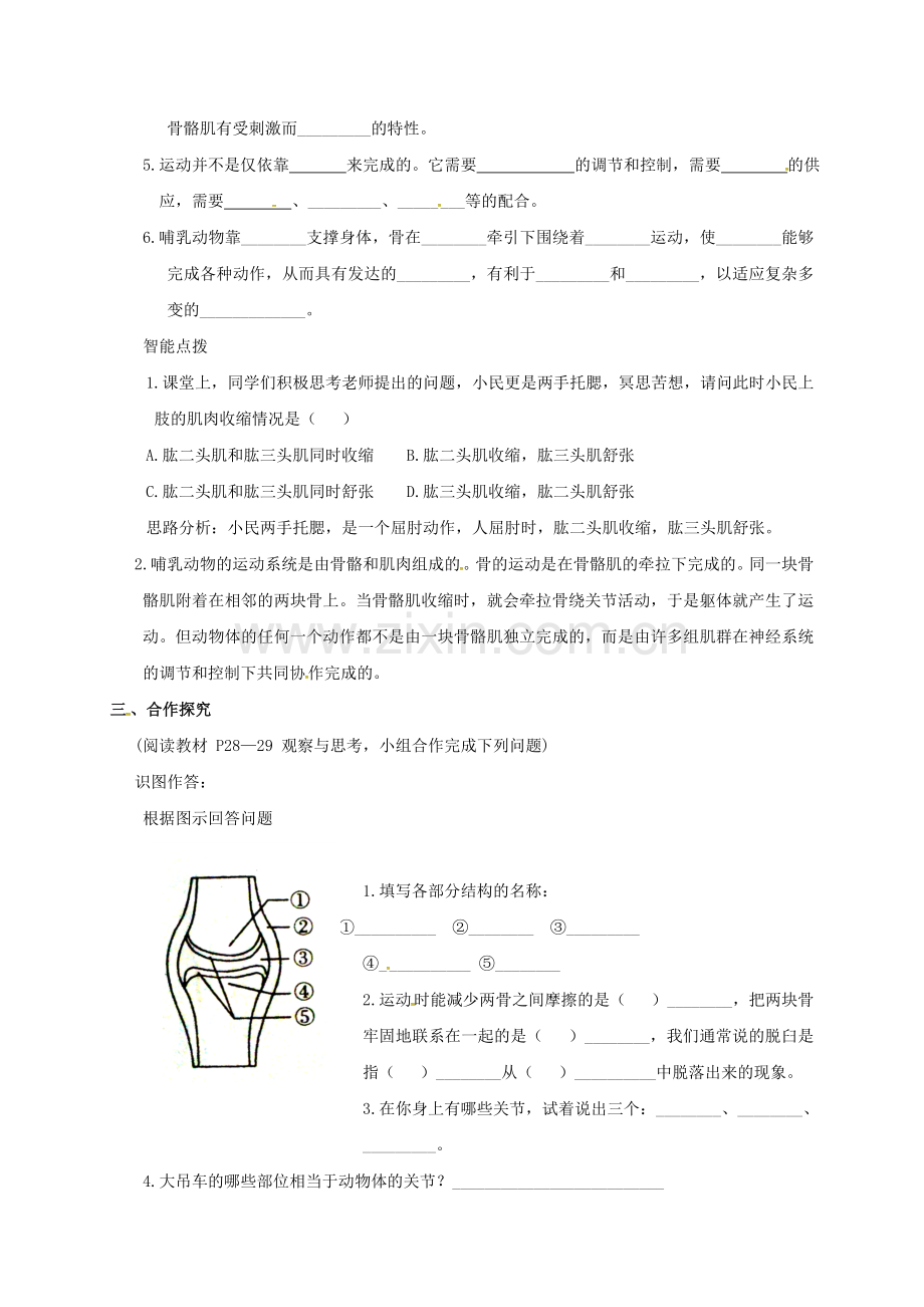 八年级生物上册-521-动物的运动导学案1无答案新版新人教版.doc_第2页