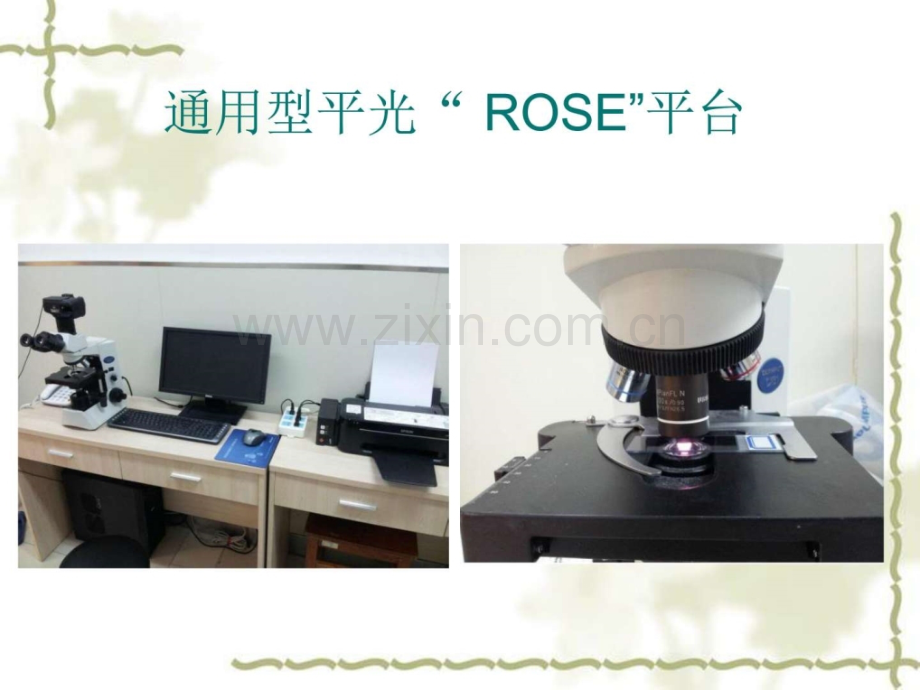 ROSE在肿瘤方面的应用.pptx_第2页