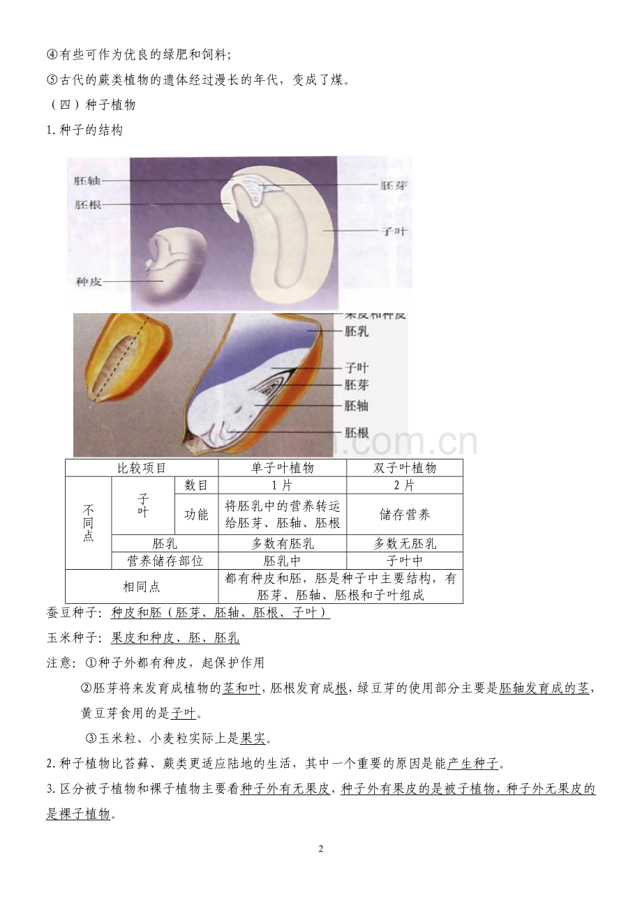 六年级下册生物复习提纲.doc_第2页