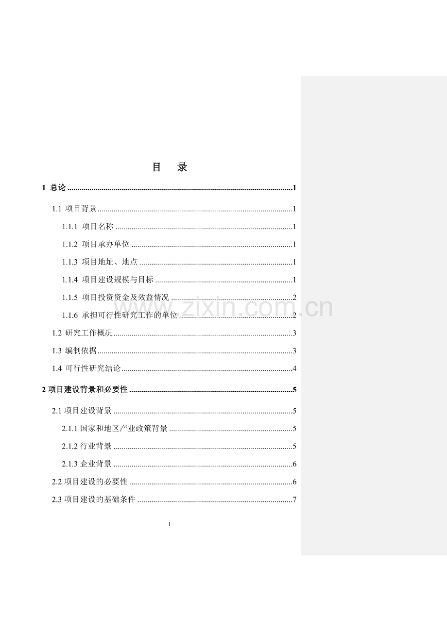 锰矿贸易投资项目可行性研究报告.doc_第1页