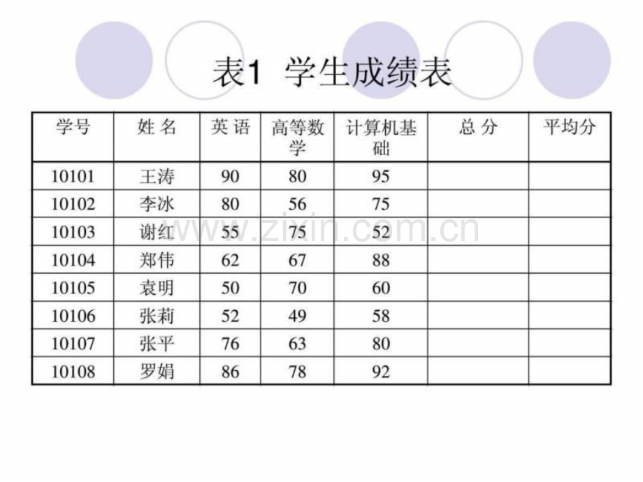 Excel电子表格软件的使用.pptx_第3页