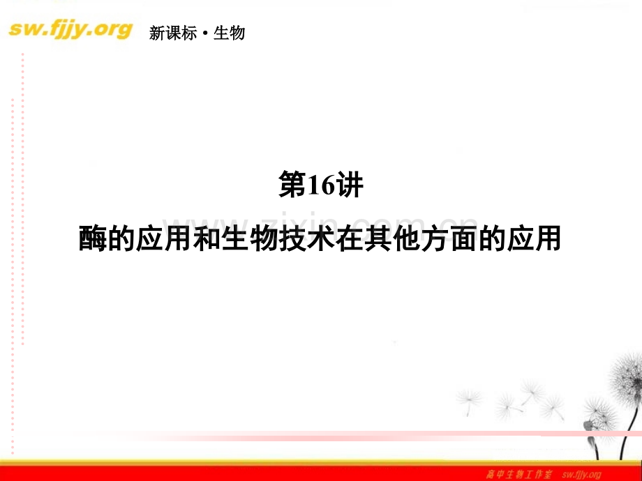 高三生物二轮复习816酶的应用和生物技术在其他方面的应用.pptx_第2页