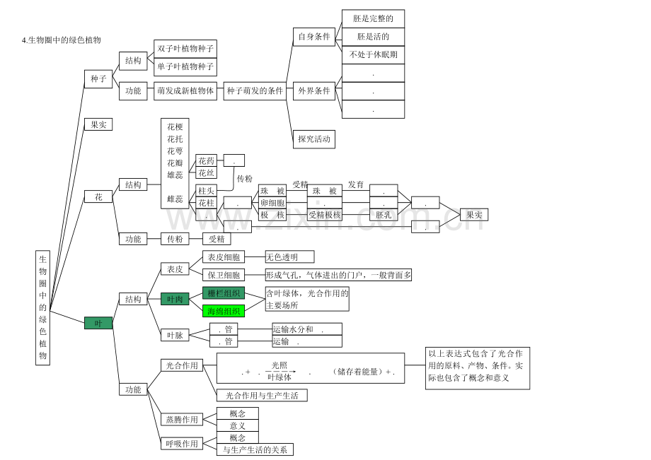 初中科学生物部分知识点梳理——思维导图.doc_第3页