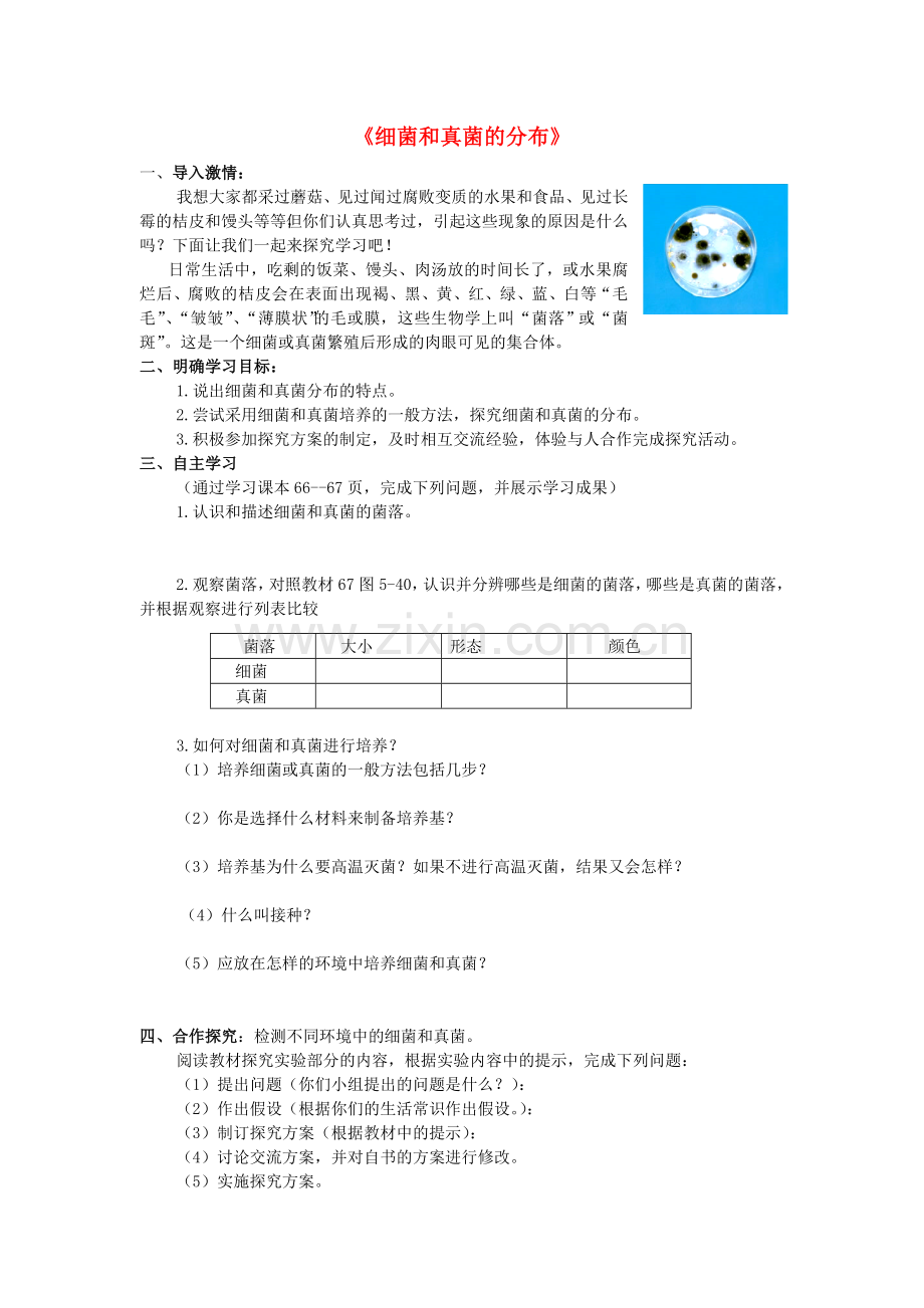 八年级生物上册---细菌和真菌的分布导学案-新版新人教版.doc_第1页