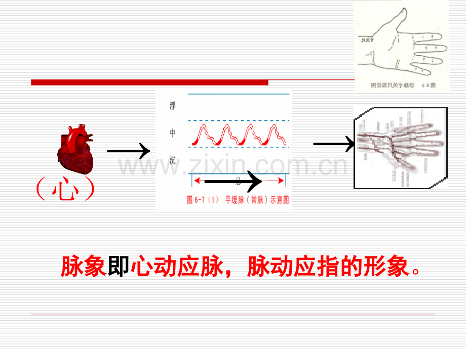 切诊详解.pptx_第3页