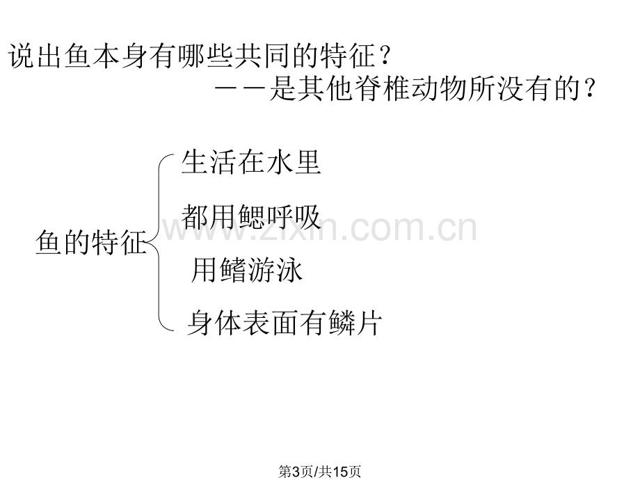 七年级科学脊椎动物.pptx_第3页