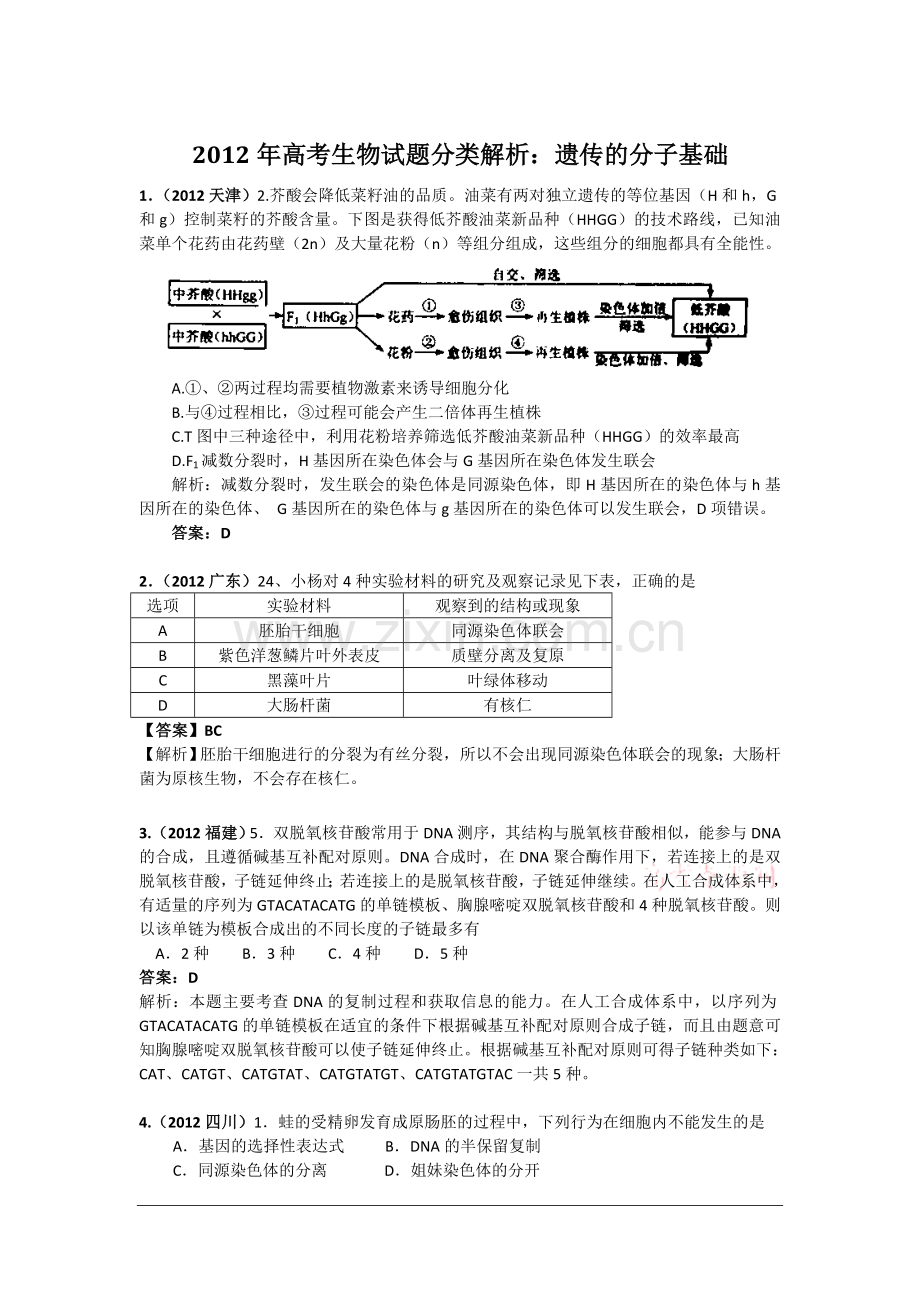 高考生物试题分类解析遗传的分子基础.doc_第1页