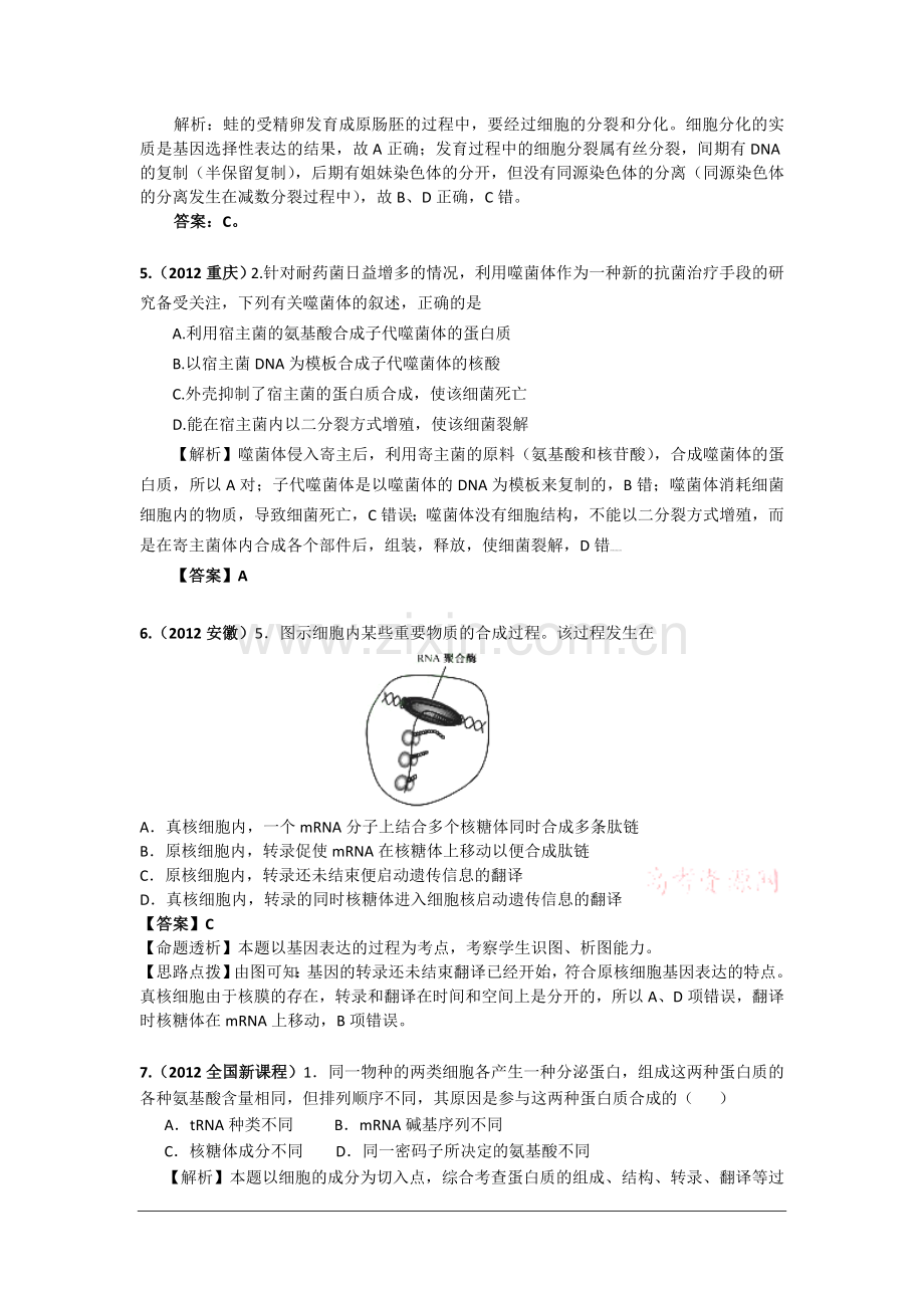 高考生物试题分类解析遗传的分子基础.doc_第2页