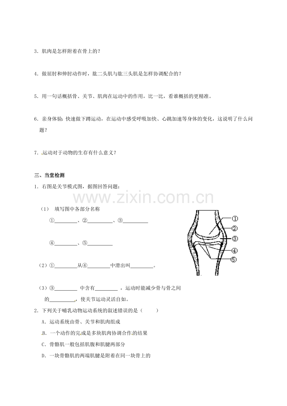 八年级生物上册-521-动物的运动导学案无答案新版新人教版.doc_第2页