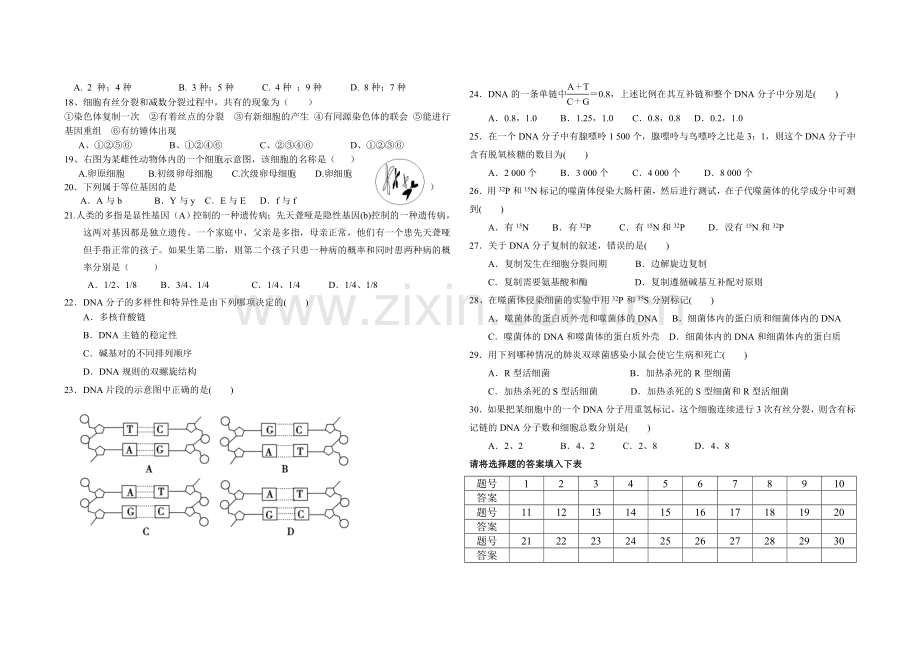 高一生物必修二至检测题副本.doc_第2页