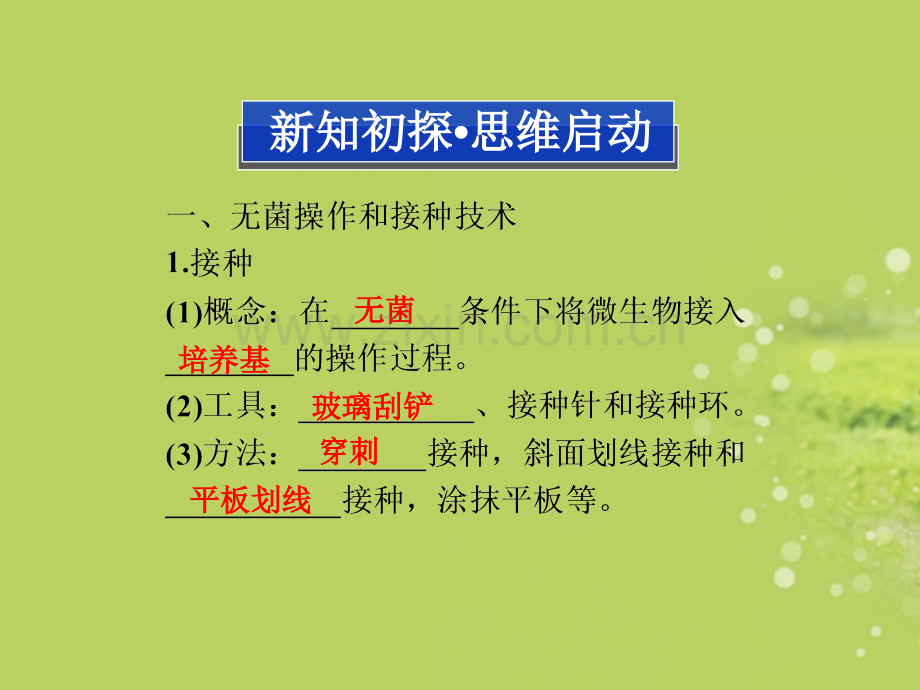 高中生物112无菌操作和接种技术及微生物分离培养与数量测定同步苏教版选修.pptx_第3页