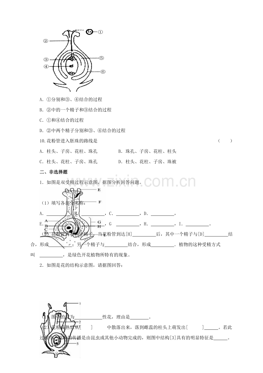 八年级生物上册-12传粉与受精练习-新版济南版1.doc_第2页