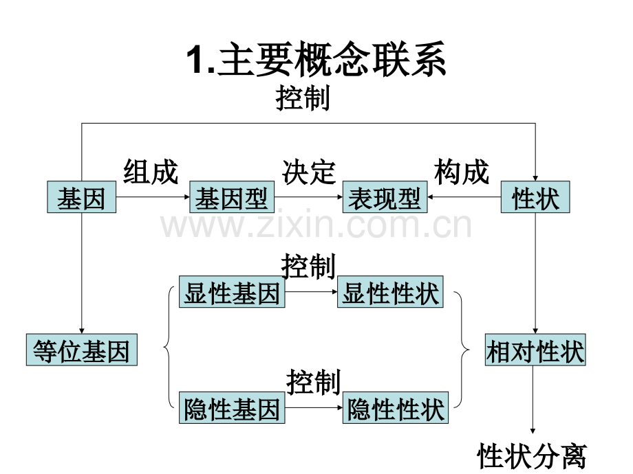 高三生物基因分离规律.pptx_第2页