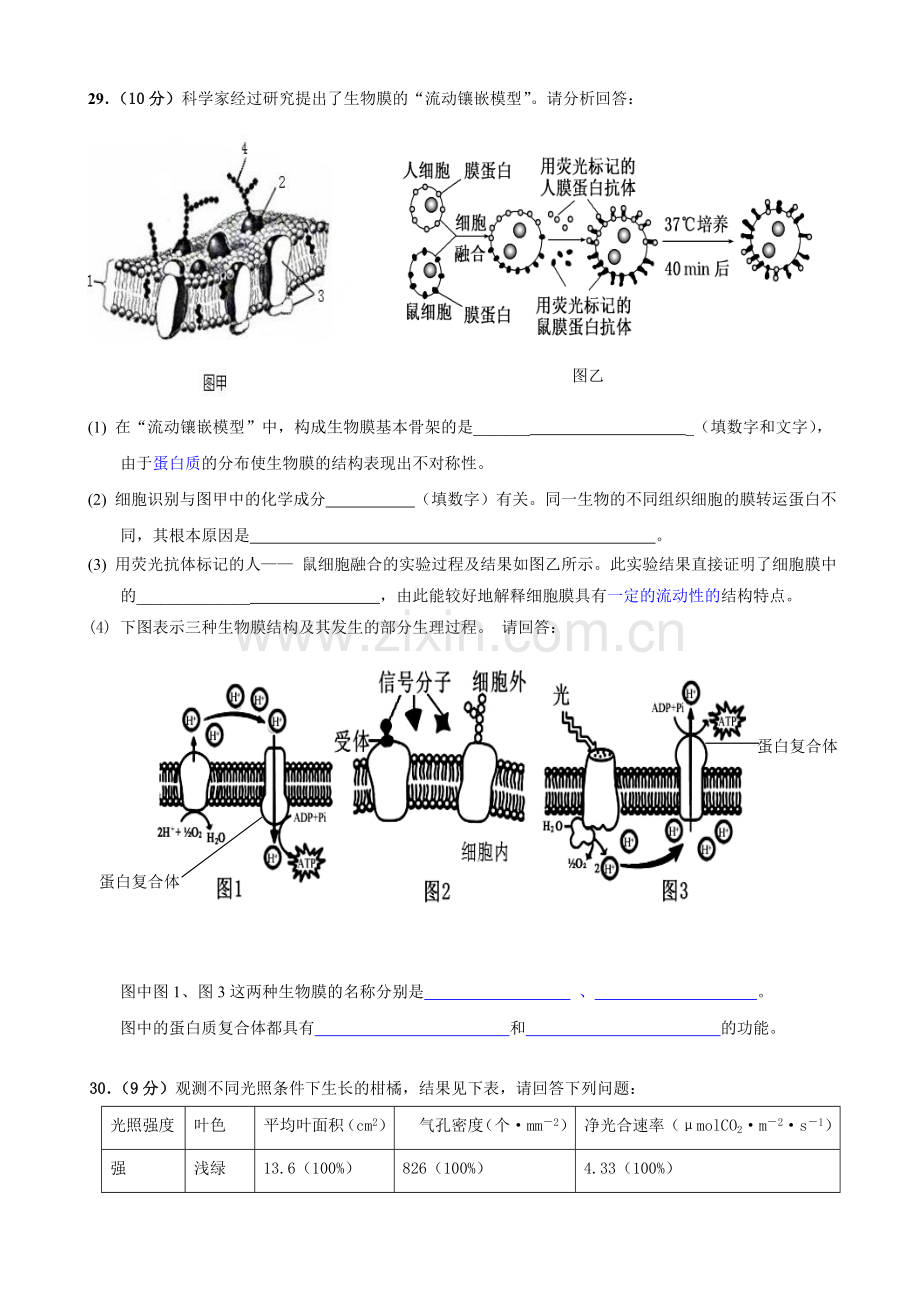 广东省东莞实验中学高三上学期第一次月考理综生物试题.doc_第2页