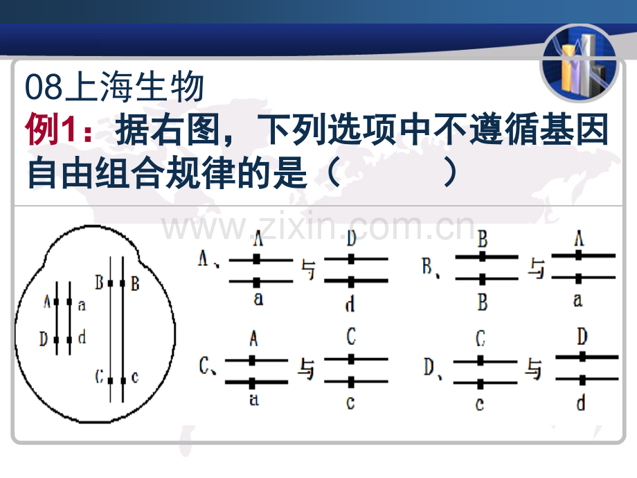 高三生物必修2孟德尔豌豆杂交实验二.pptx_第2页