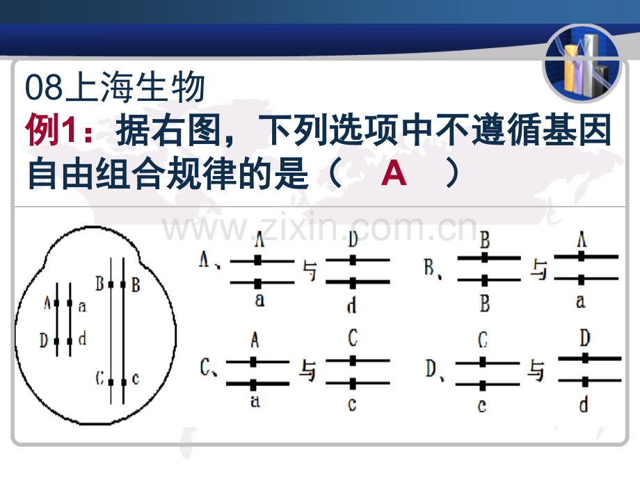 高三生物必修2孟德尔豌豆杂交实验二.pptx_第3页