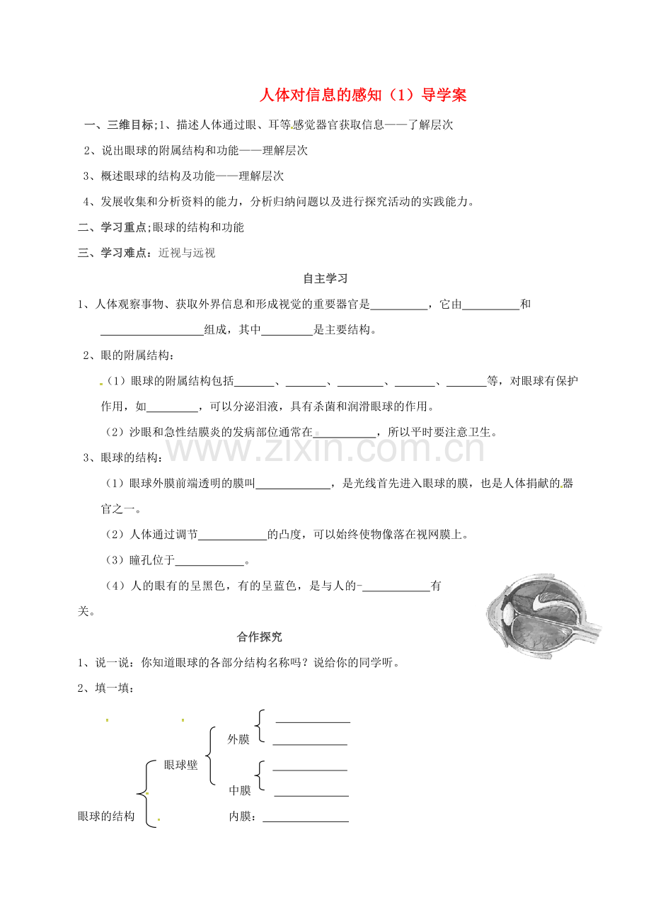 八年级生物上册-6162-人体对信息的感知导学案2无答案新版苏科版.doc_第1页