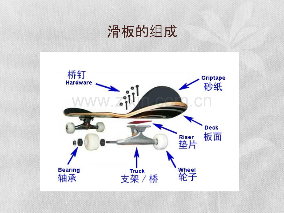 滑板培训英特体育.pptx_第2页