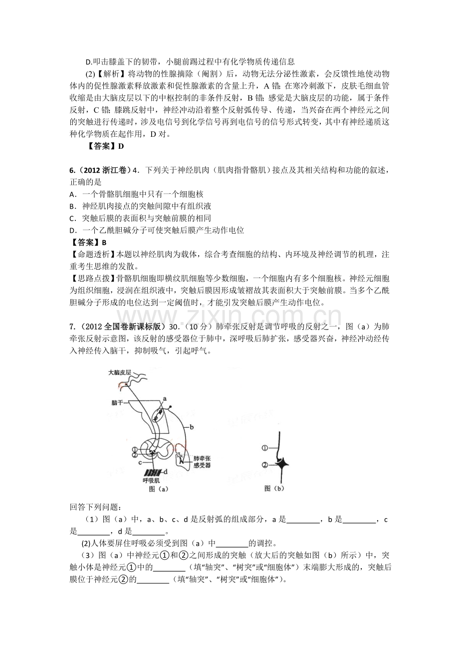 高考生物试题分类解析人和高等动物的神经调节.doc_第2页