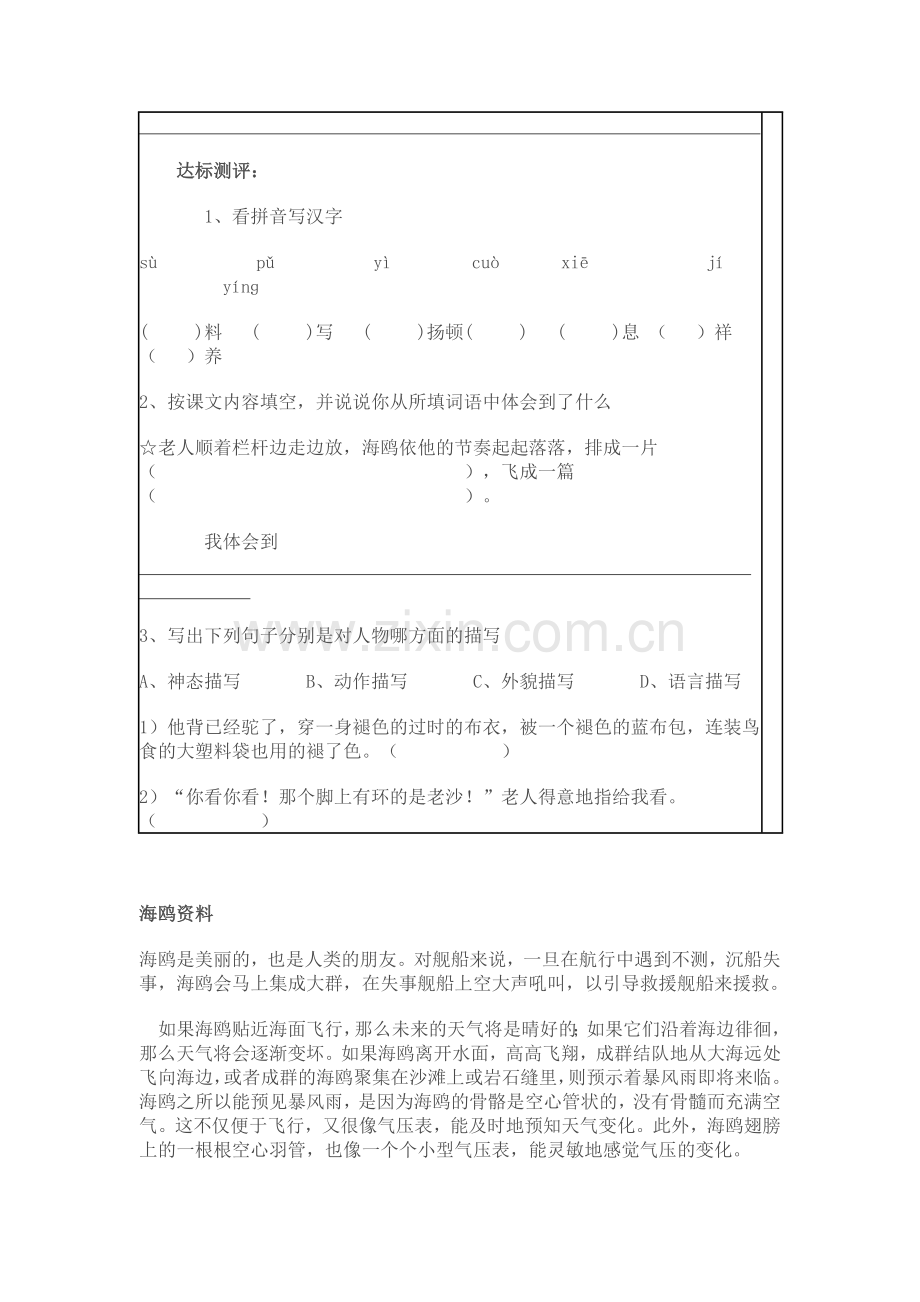 老人与海鸥导学案.doc_第3页