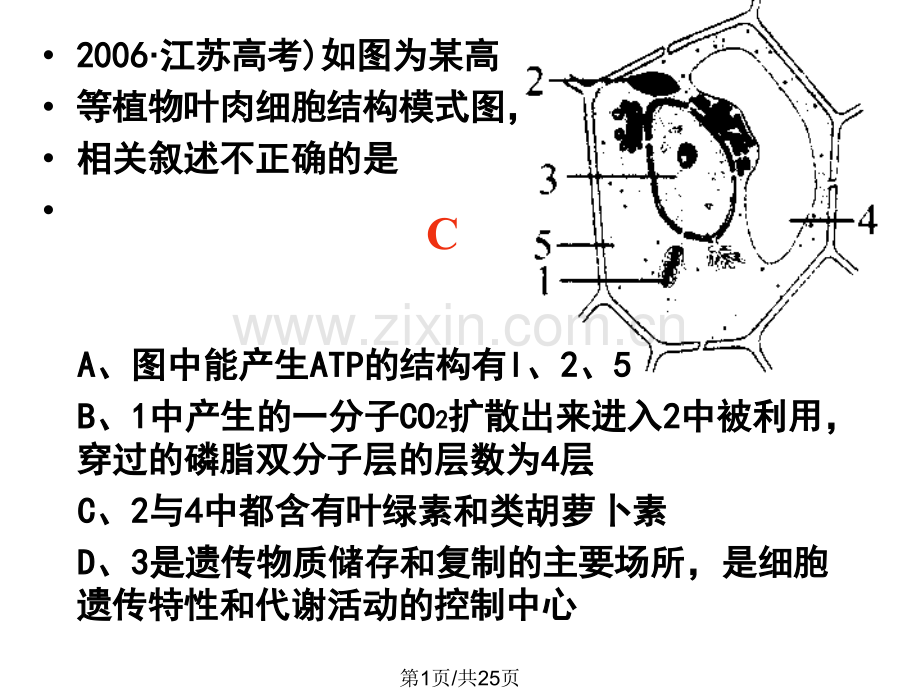 高三生物第一轮复习.pptx_第1页