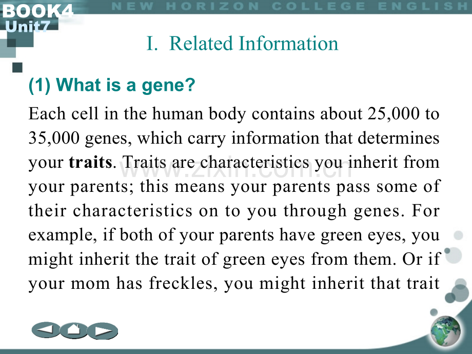 Gene基因以及如何写英语欠条.pptx_第1页