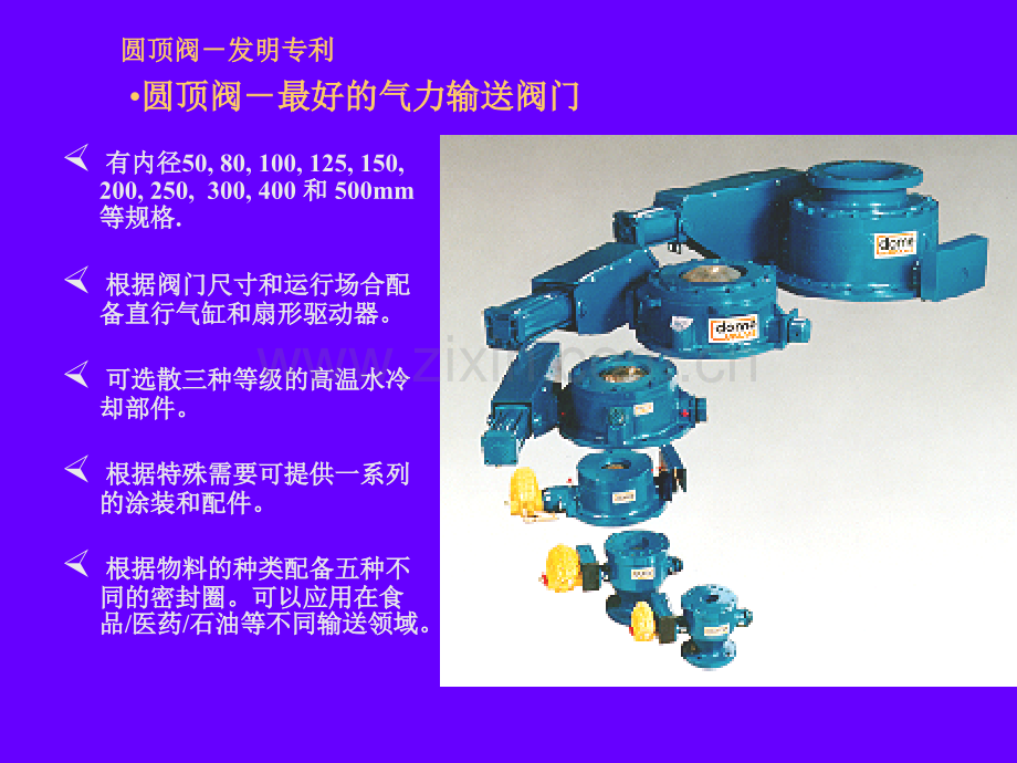 圆顶阀解释.pptx_第2页