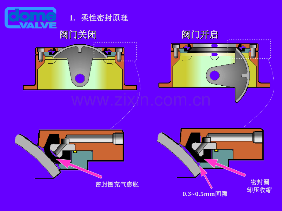 圆顶阀解释.pptx_第3页