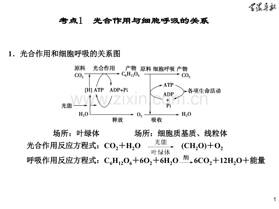 细胞的代谢光合与呼吸.pptx_第1页