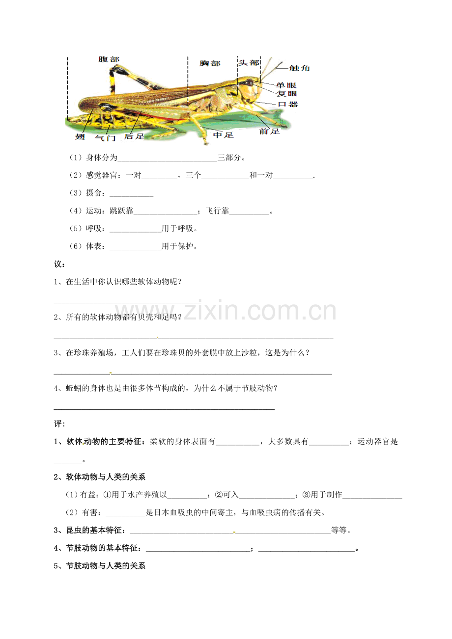 八年级生物上册-513-软体和节肢动物导学案无答案新版新人教版.doc_第2页