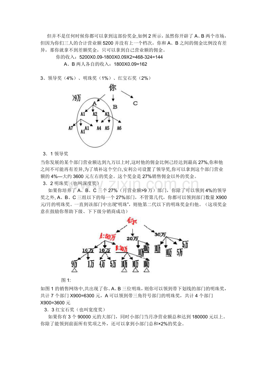 安利公司奖金制度.doc_第2页