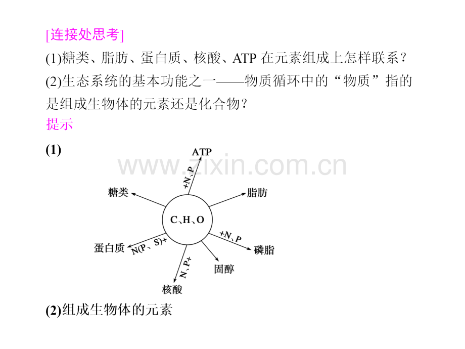 高三生物二轮复习专题一学案细胞的分子组成.pptx_第1页