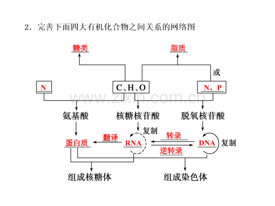 高三生物二轮复习专题一学案细胞的分子组成.pptx_第3页