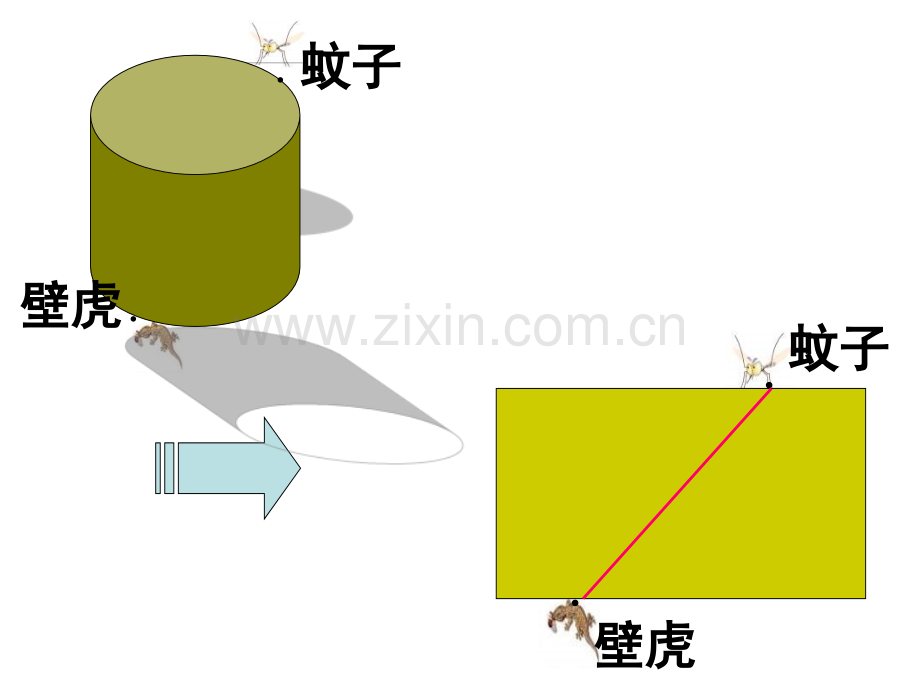 七年级数学平面与立体立体图形的展开图.pptx_第2页