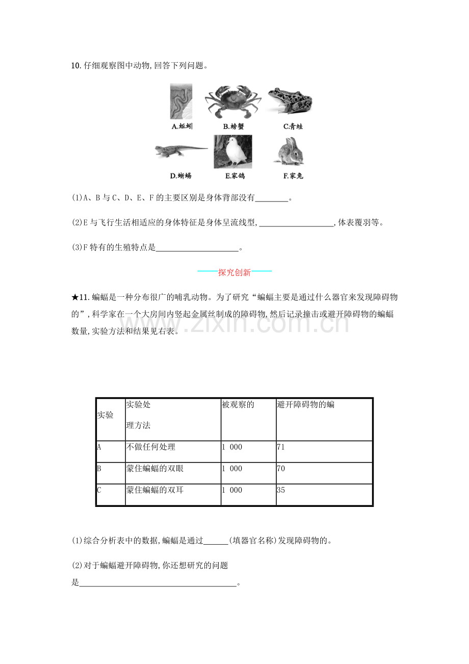 八年级生物上册-517-哺乳动物课后练习-新版新人教版.doc_第3页